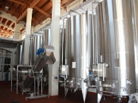 Borgo Condé producerer masser af vin på den moderne måde
