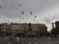 Piazza del Duomo med en masse duer.