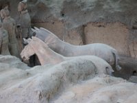 Heste i Terrakottahæren