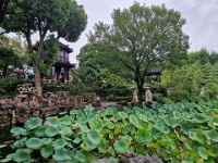 Tilbage til det gamle Suzhou