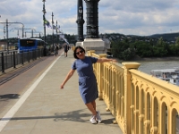 Den blå dame på Margit broen med Margit øen i baggrunden