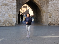 Konen ved St. Florian's porten