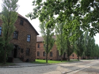 En del af barakkerne hvor fangerne var indkvarteret. Fangerne var i starten og speicelt her i Auschwitz-I politiske fanger.