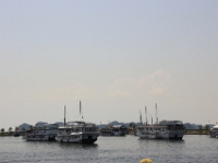 Nogle af de mange turistbåde som sejler rundt i Halong Bay