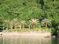 Palmer i Halong Bay